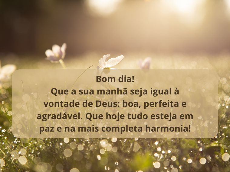 Bom Dia com a Paz e a Harmonia da Vontade de Deus