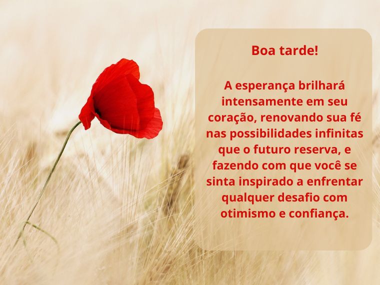 Boa Tarde com Esperança, Fé e Otimismo