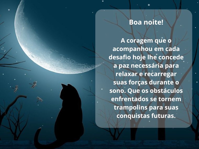 Boa Noite para Superar Desafios e Renovar as Forças